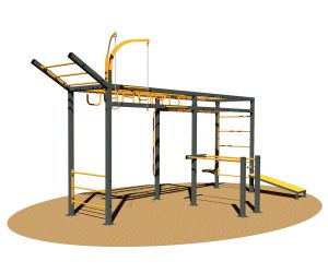 Calisthenics Sansone